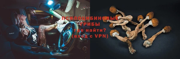 трава Бронницы