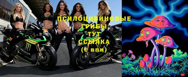 марки nbome Бородино