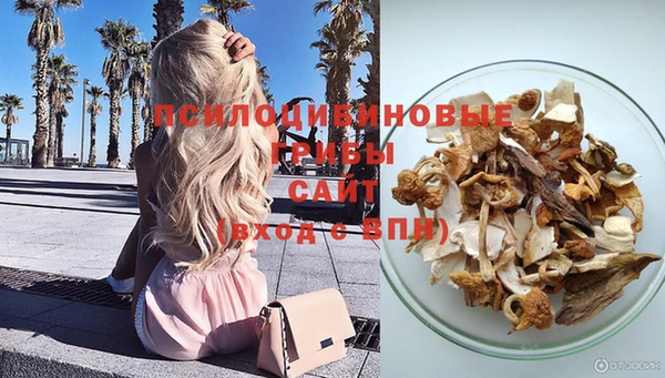 марки nbome Бородино