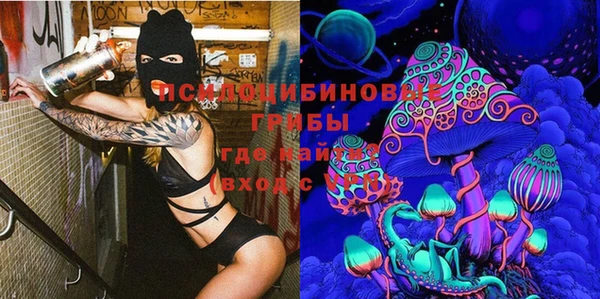трава Бронницы